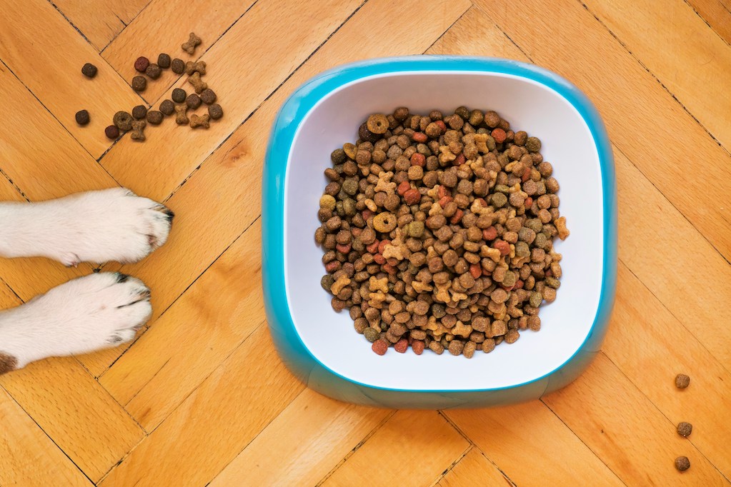 Manufacturing Process and Cost Drivers for Dry Kibble Pet Food