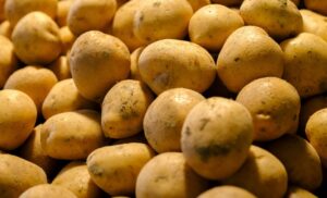 Frozen Potato Product Market