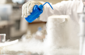 Cryopreservation Services in Latin America